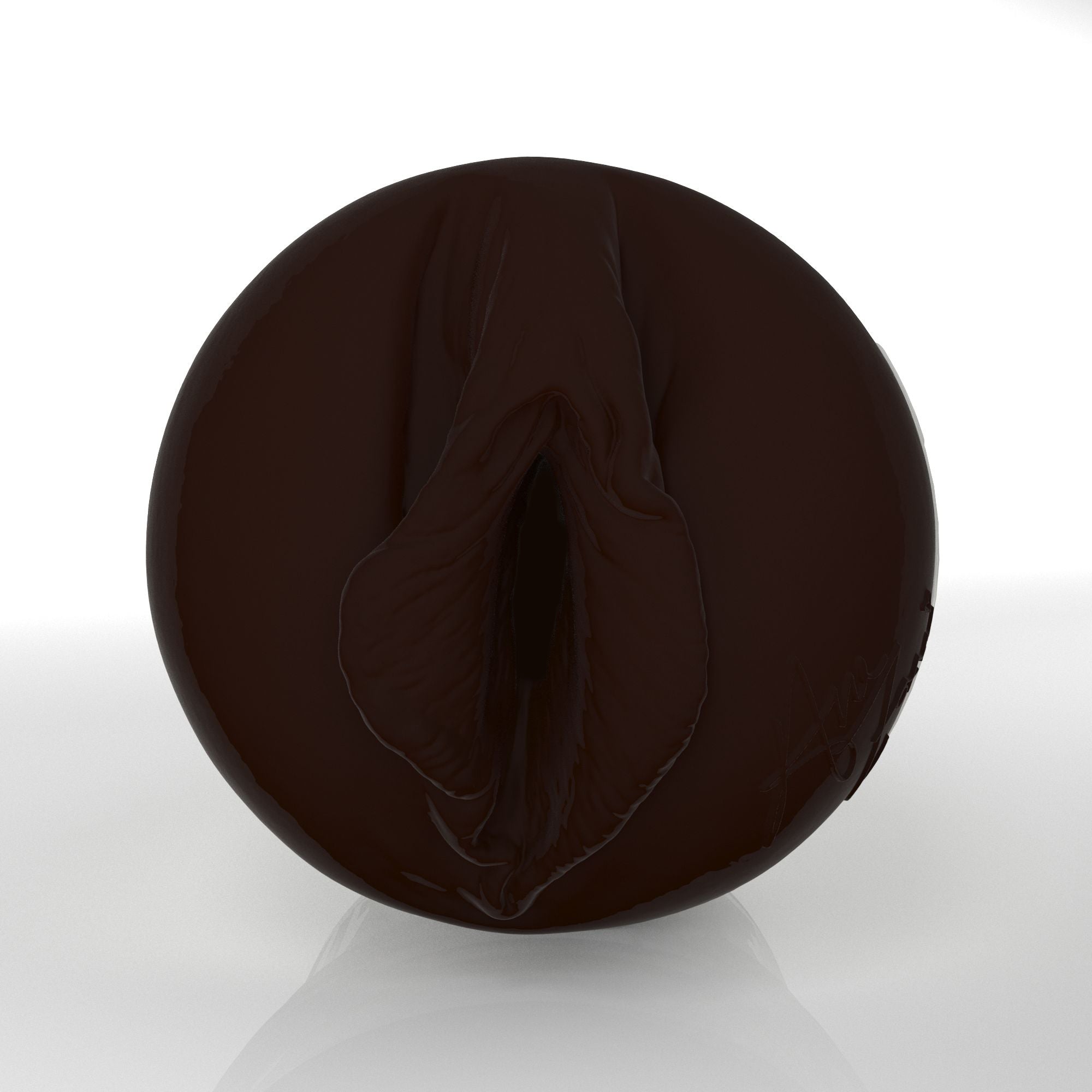 Ana Foxxx X3 2026 Edition Fleshlight